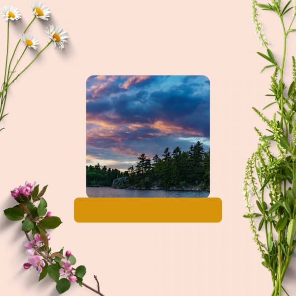 Self Care Days - Coffeehouse Music