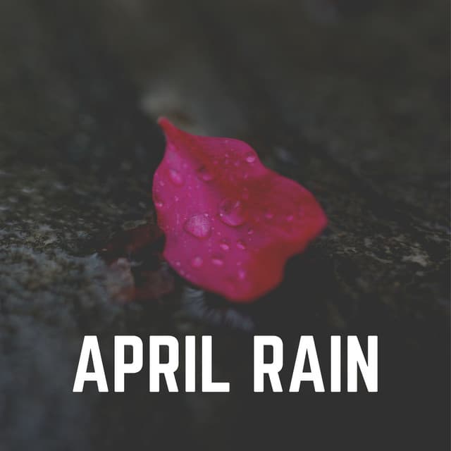 April Rain - Natsound