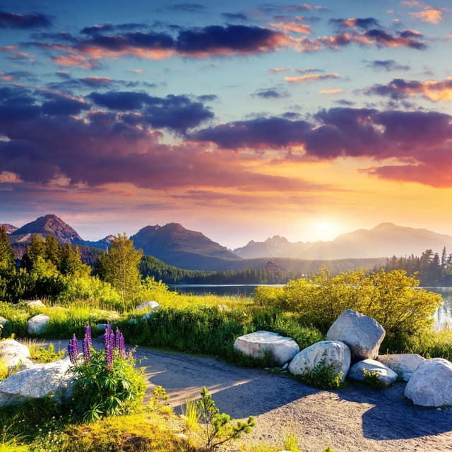 Sculpted by Nature: A Melodic Journey Unfolds - Natures DNA