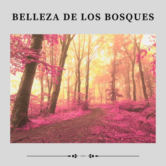 Belleza de los Bosques - Ruidos de la Selva