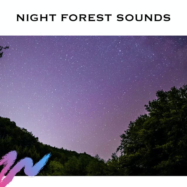 Night Forest Sounds - White Noise Radiance