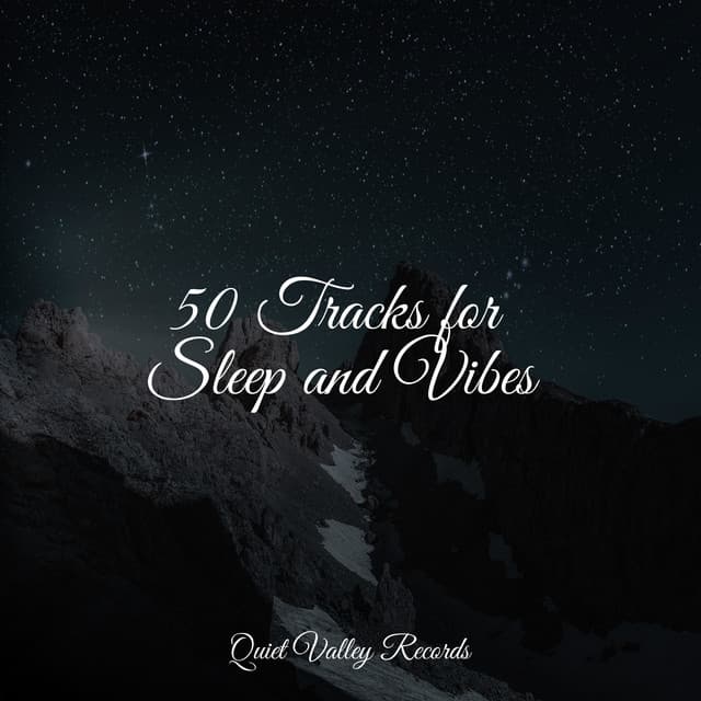 50 Tracks for Sleep and Vibes - Wave Sound Group