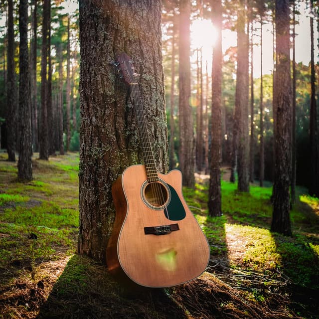 Vibraciones De Guitarra: Serenidad Acústica - Musica Relajante de Guitarra Beats