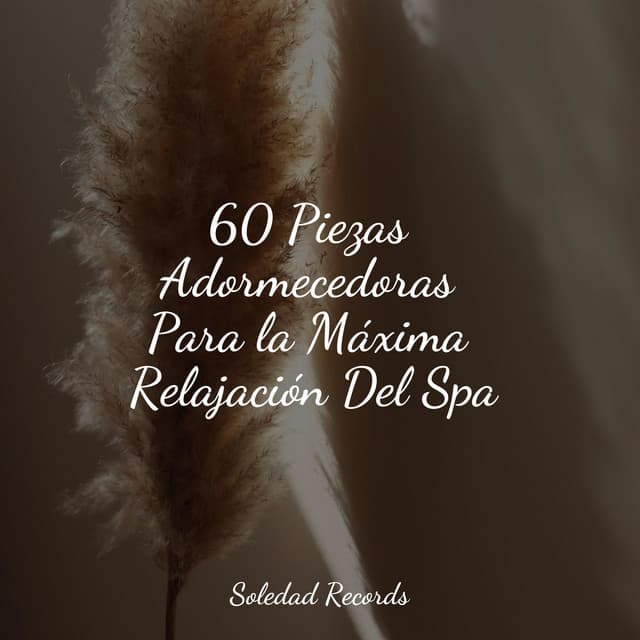 60 Piezas Adormecedoras Para la Máxima Relajación Del Spa - Academia de Música para Massagem e Relaxamento