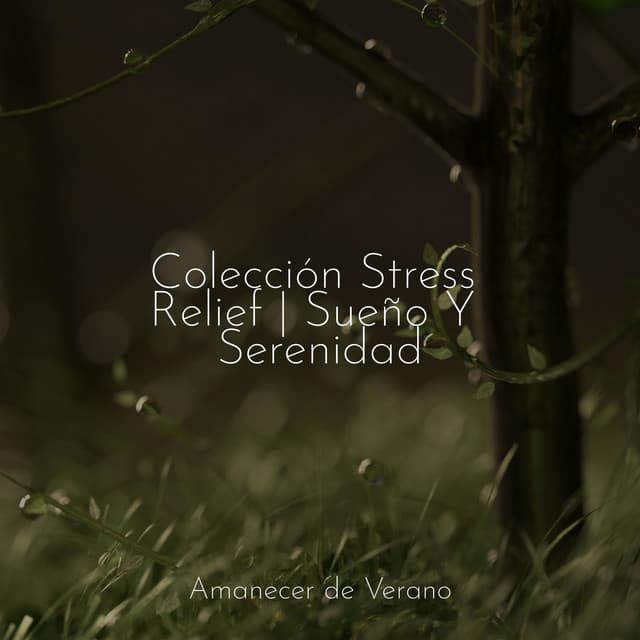 Colección Stress Relief | Sueño Y Serenidad - Música para Correr