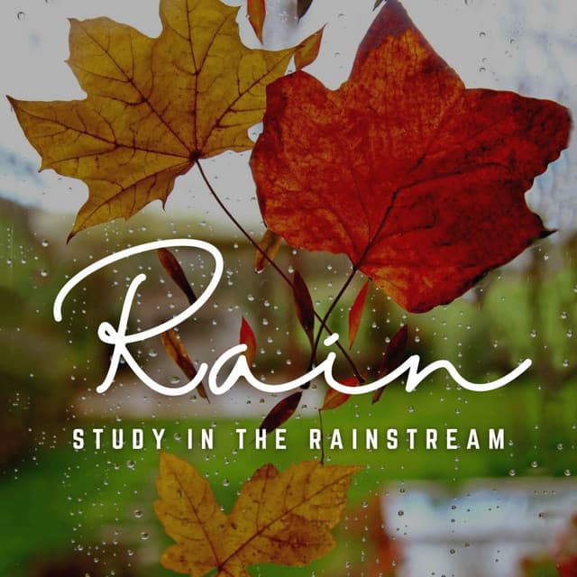 Calm Knowledge: Rain's Mindful Flow - Calm Rain Sounds
