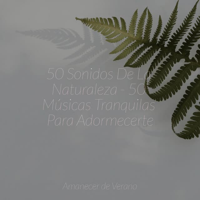 50 Sonidos De La Naturaleza - 50 Músicas Tranquilas Para Adormecerte - Relaxing Spa Music