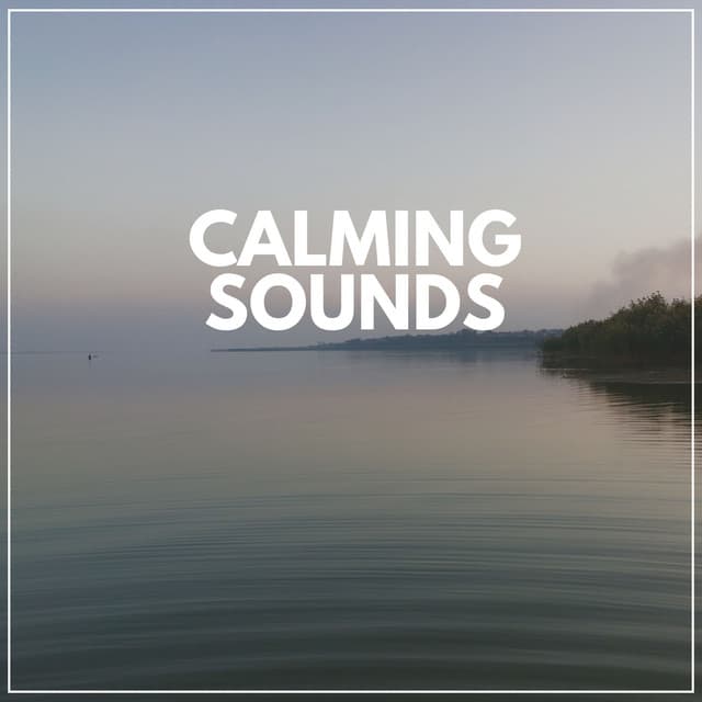 Calming Sounds - Meditation Zen