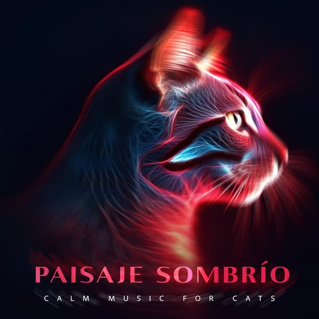 Paisaje Sombrío - Calm Music for Cats