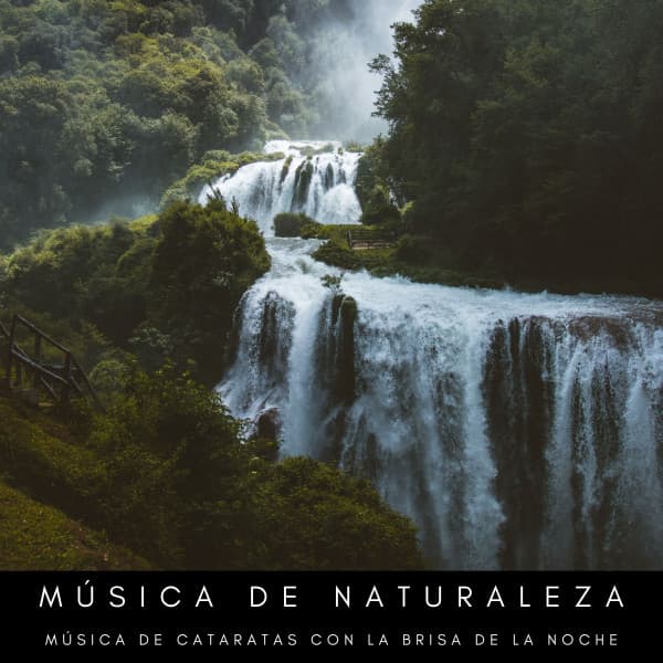 Música De Naturaleza: Música De Cataratas Con La Brisa De La Noche - Ruido blanco para concentración
