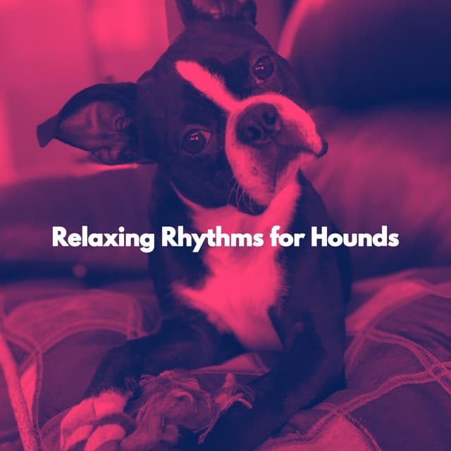 Relaxing Rhythms for Hounds - Dog Sleeping Soundtracks Deluxe