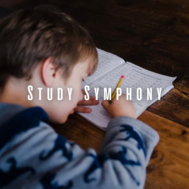 Study Symphony: Piano Soundtracks - Study Music