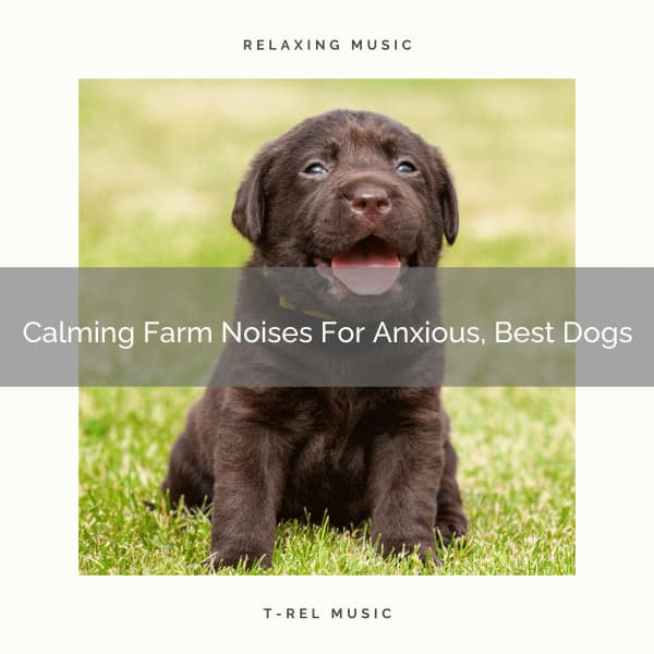 Calming Farm Noises For Anxious, Best Dogs - Pets Total Relax