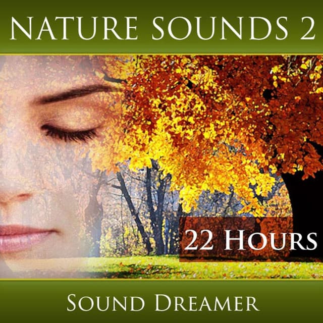 Nature Sounds 2 - Sound Dreamer