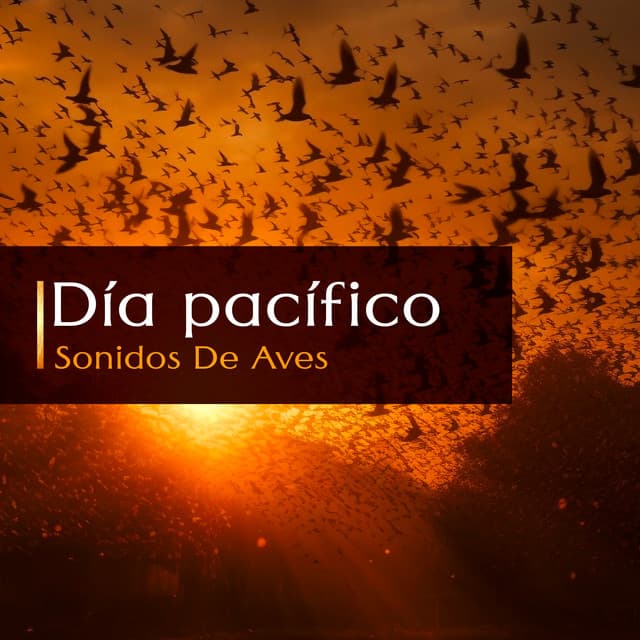 Día pacífico - Sonidos De Aves
