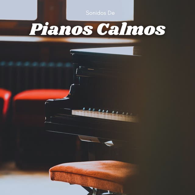 Sonidos De Pianos Calmos - Cafetería Jazz Piano Escalofriante