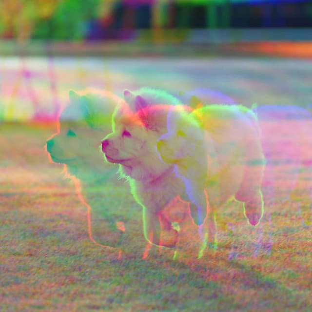 Music for Jazzy Chill Dogs - Jazz Quintet - Puppy Music