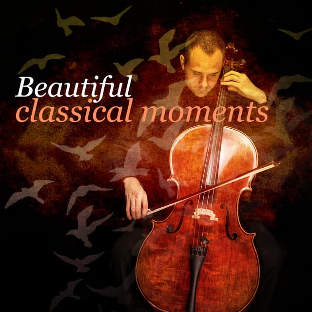 Beautiful Classical Moments - Classics for a Rainy Day