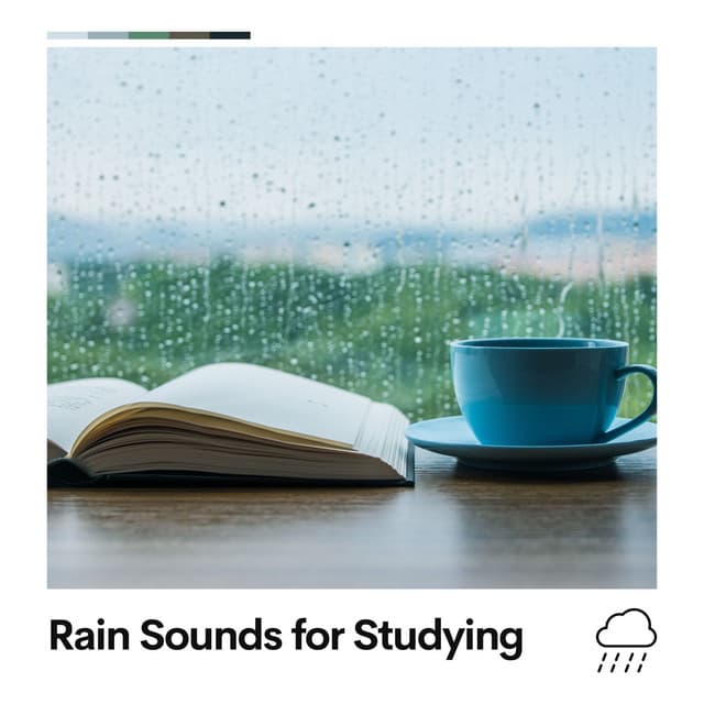 Rain Sounds for Studying - Rain Sounds & Nature Sounds