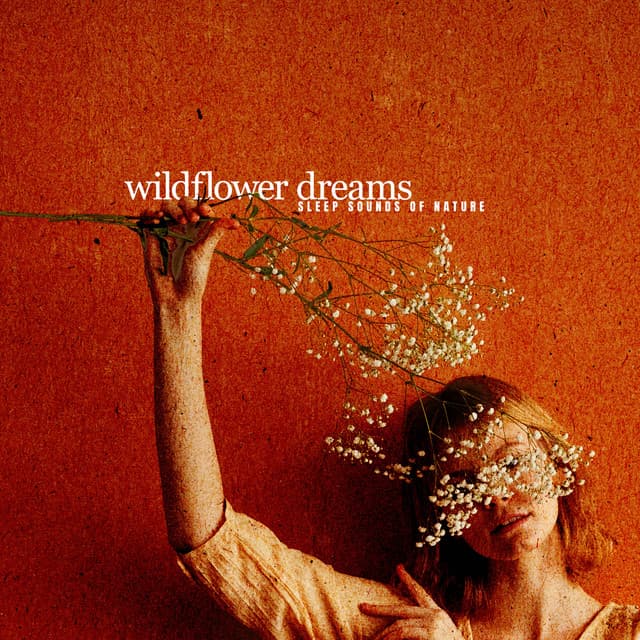 Wildflower Dreams - Sleep Sounds of Nature