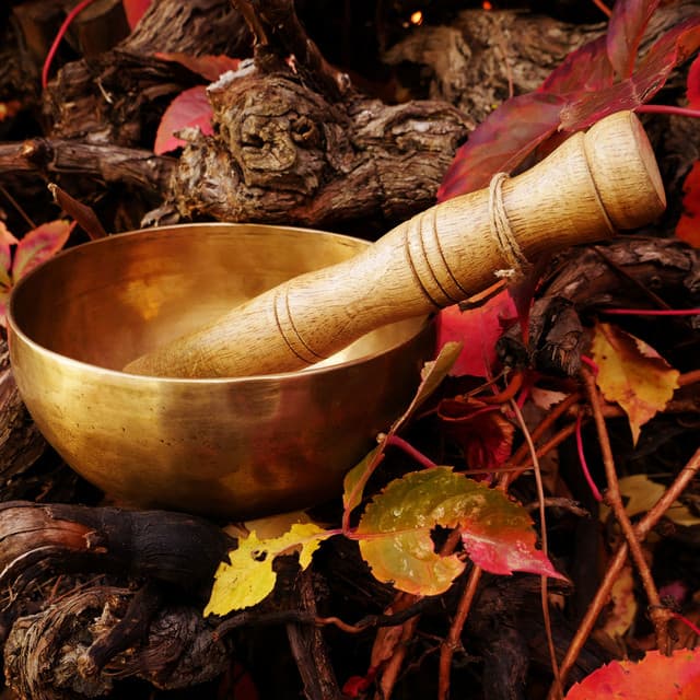 Sacred Chants to Soothe the Soul - Relaxation Meditation Songs Divine