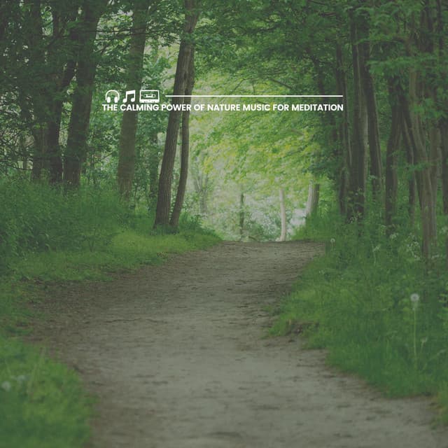 The Calming Power of Nature Music for Meditation - Naturalis