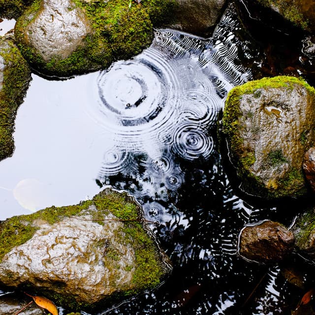 12AM Showers: Meditation Rains - Meditation Rain Sounds