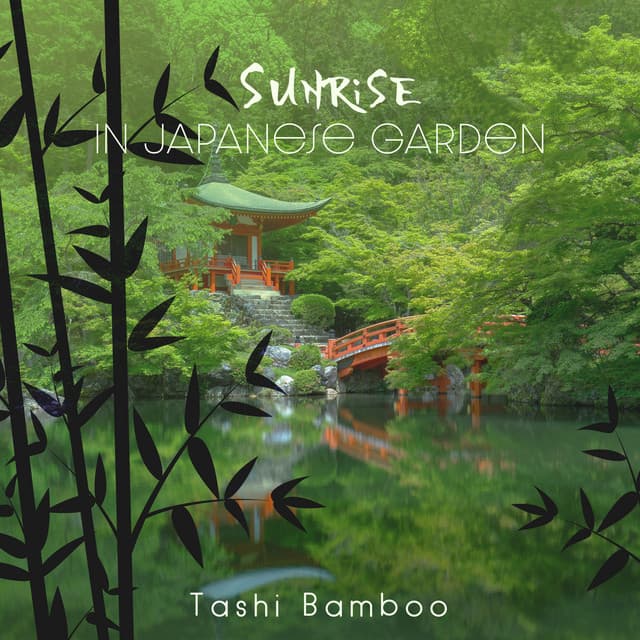 Sunrise in Japanese Garden - Tashi Bamboo