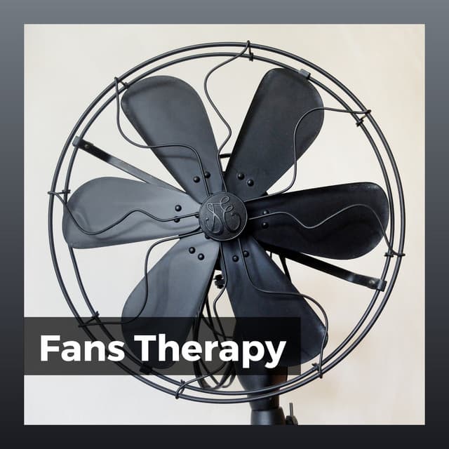 Fans Therapy - Box Fan Sounds