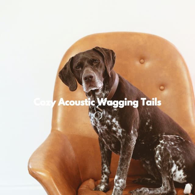 Cozy Acoustic Wagging Tails - Relaxing Dog Music Playlists