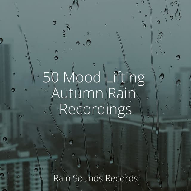 50 Mood Lifting Autumn Rain Recordings - Calm Music for Studying