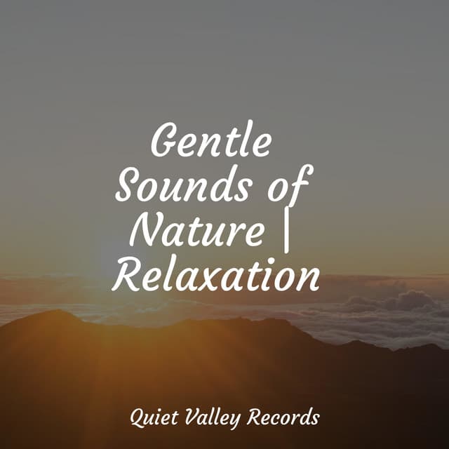 Gentle Sounds of Nature | Relaxation - The Relaxation Principle
