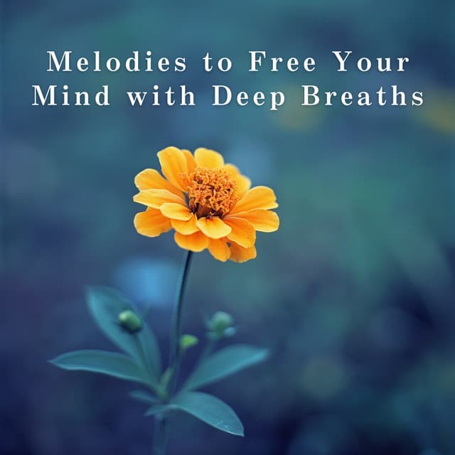 Melodies to Free Your Mind with Deep Breaths - Relaxing BGM Project