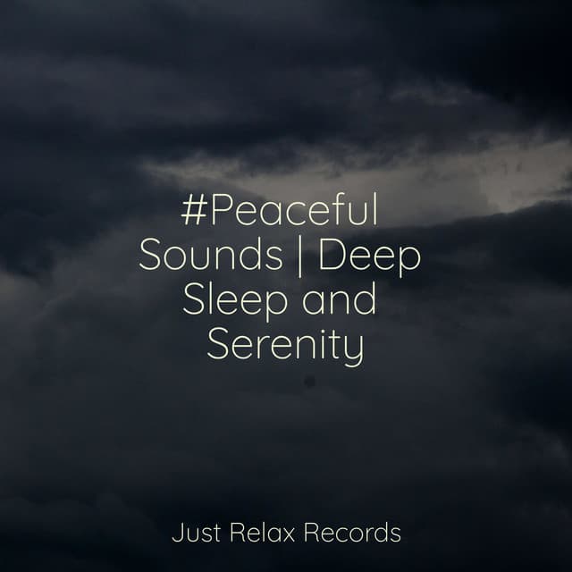 #Peaceful Sounds | Deep Sleep and Serenity - Binaural Beats Brainwave Entrainment