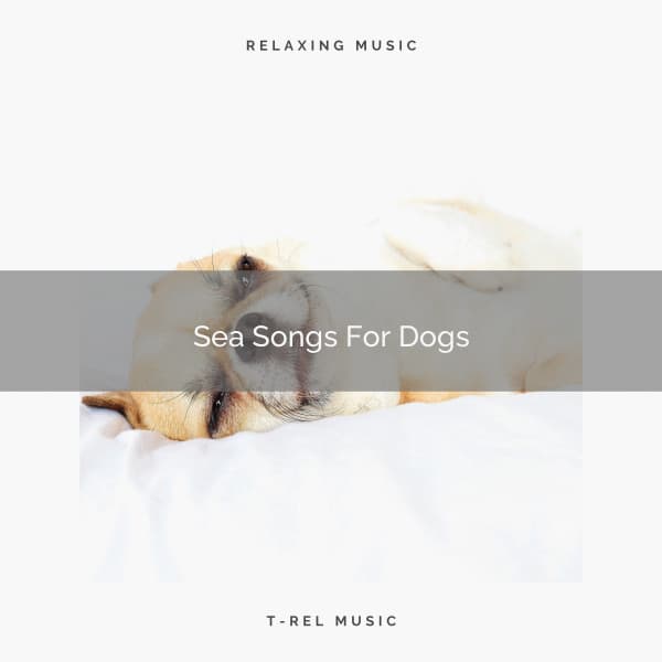 Sea Songs For Dogs - Pets Relax