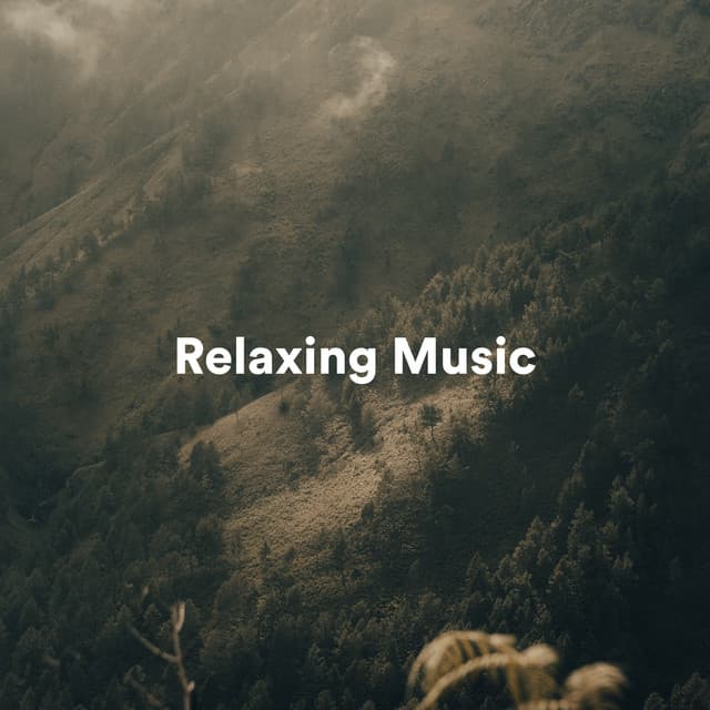 Relaxing Music - Peaceful Zen