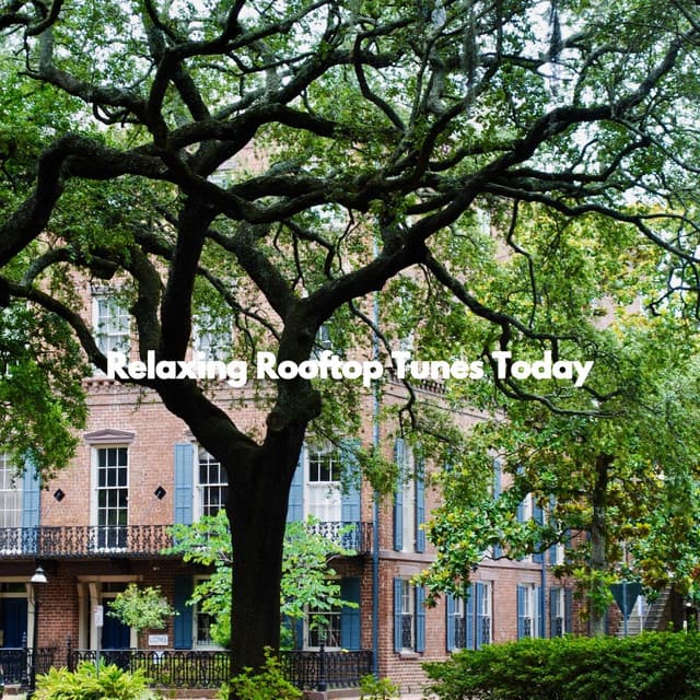 Relaxing Rooftop Tunes Today - Office Music Experts