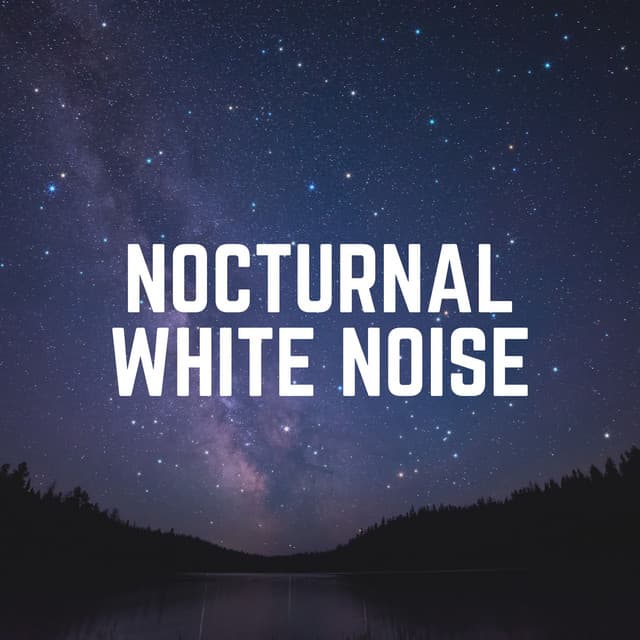 Nocturnal White Noise - Loopable White Noise
