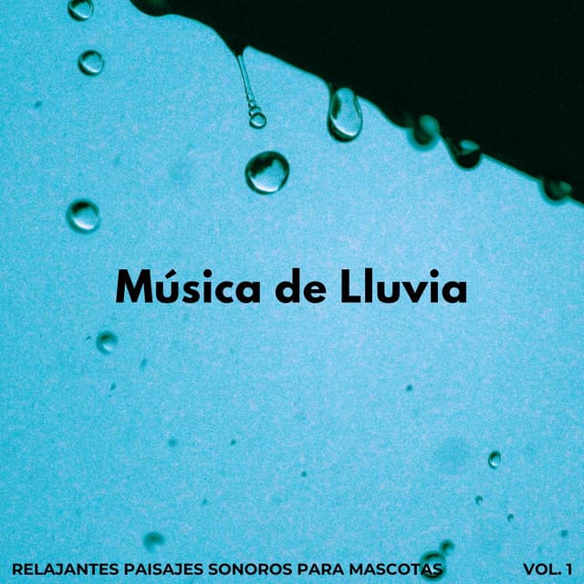 Música De Lluvia: Relajantes Paisajes Sonoros Para Mascotas Vol. 1 - Experiencia de sonido de lluvia