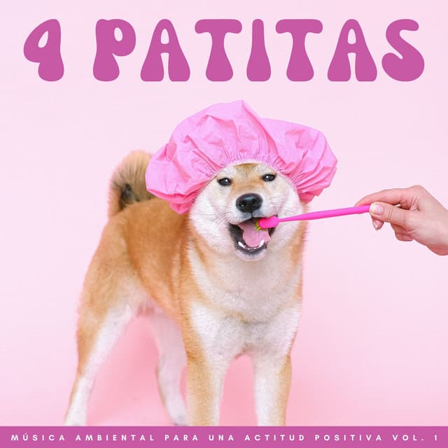 4 Patitas: Música Ambiental Para Una Actitud Positiva Vol. 1 - Descansar Musica