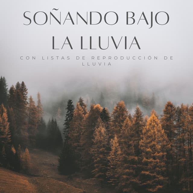 Soñando Bajo La Lluvia Con Listas De Reproducción De Lluvia - Registradores de lluvia