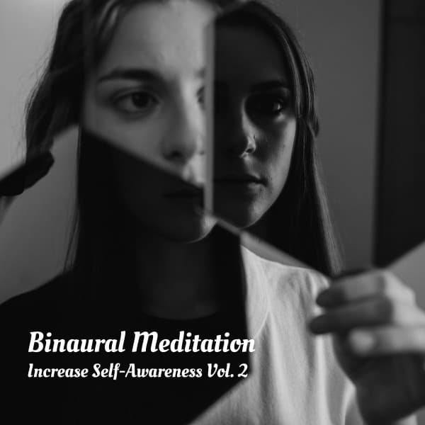 Binaural Meditation: Increase Self-Awareness Vol. 2 - 1 Hour Meditation
