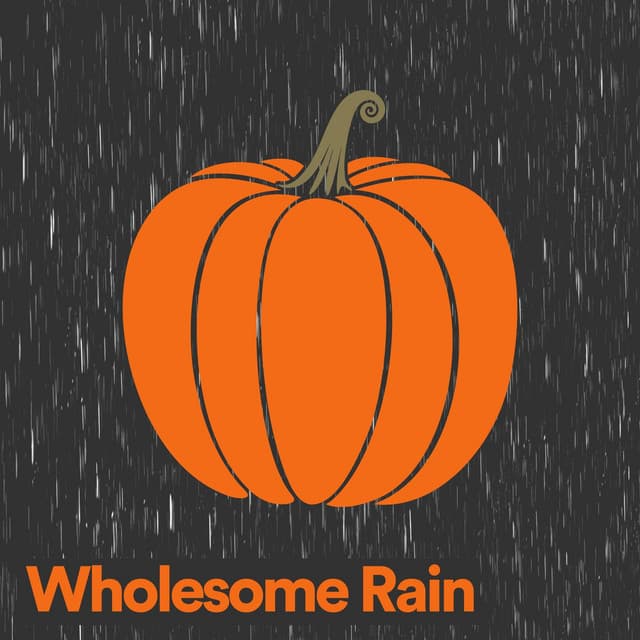 Wholesome Rain - The Sound Of The Rain
