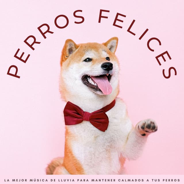 Perros calmantes