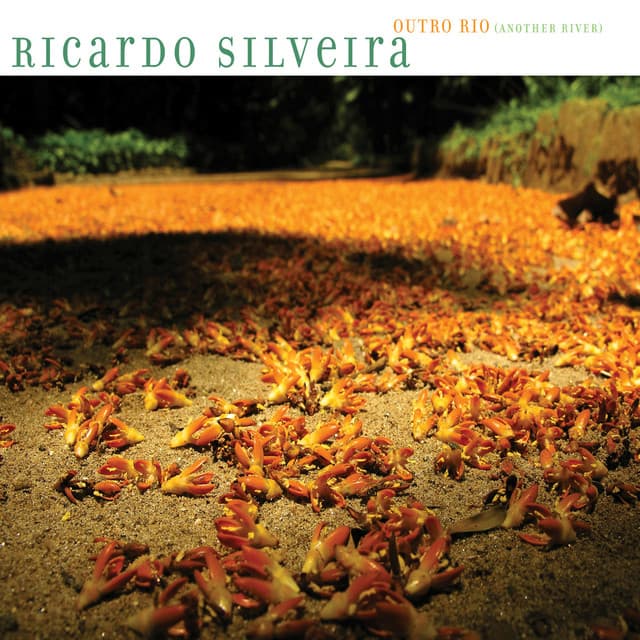 Outro Rio - Ricardo Silveira