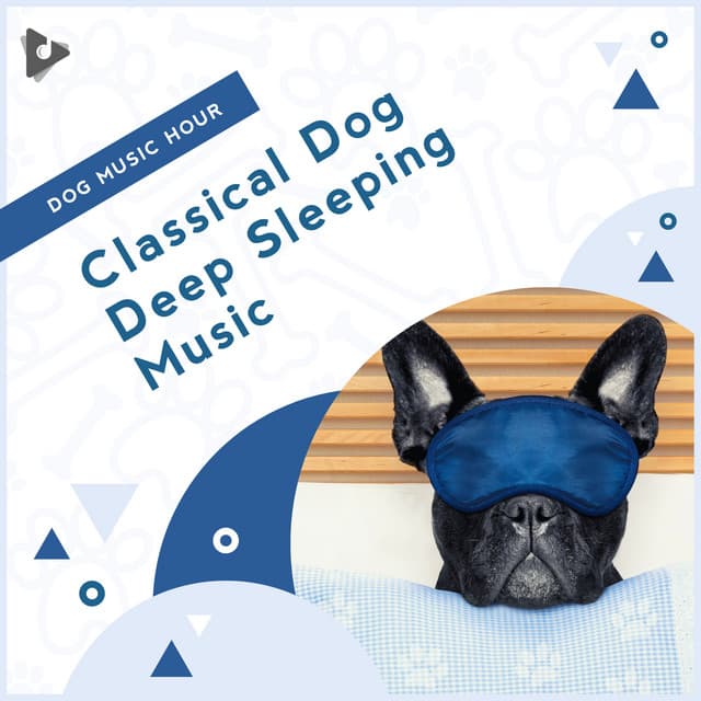 Classical Dog Deep Sleeping Music - Dog Music Hour