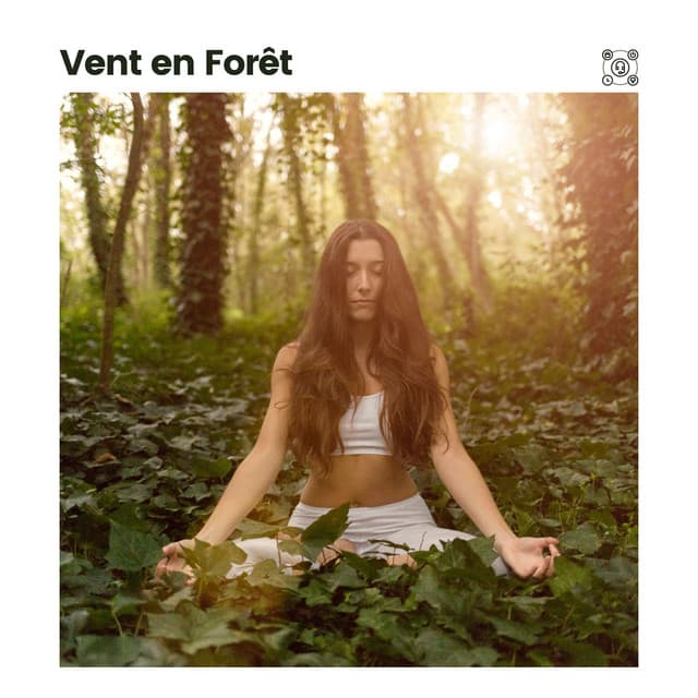 Vent en Forêt - Sommeil profond