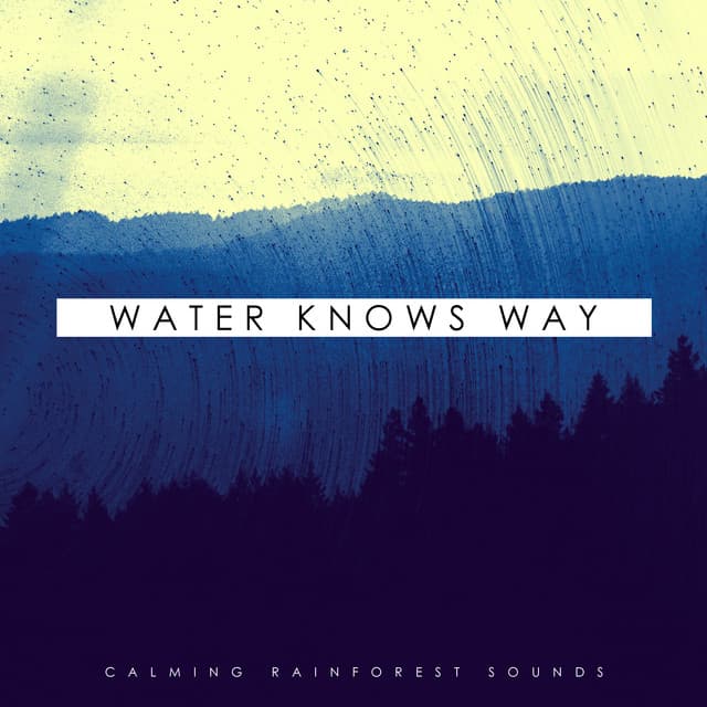 Water Knows Way - Calming Rainforest Sounds