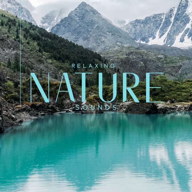 Relaxing Nature Sounds: Shooting Music to Help you Sleep, Stay Relaxed and Keep Thinking Positively - Nature Collection
