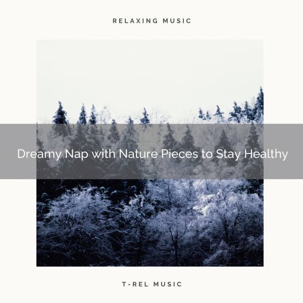 2020 Best: Dreamy Nap with Nature Pieces to Stay Healthy - Natural Rain for Baby Sleep